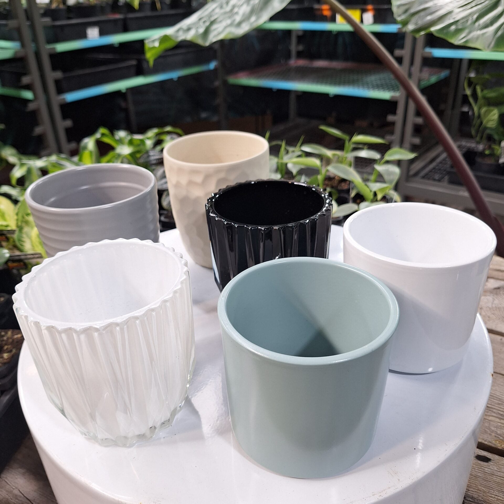 Sage Green Cover Pot 90mm