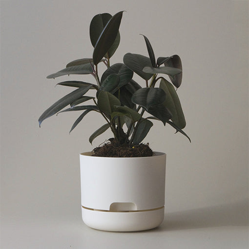 Self Watering Plant Pot 170mm White Linen