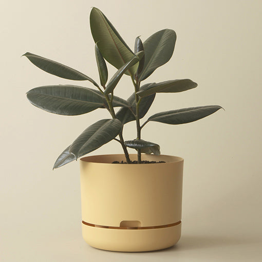 Self-watering Plant Pot 170mm Buff Yellow