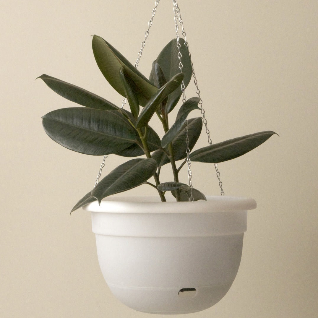Sorrento Pot Hanging Self-watering 340mm