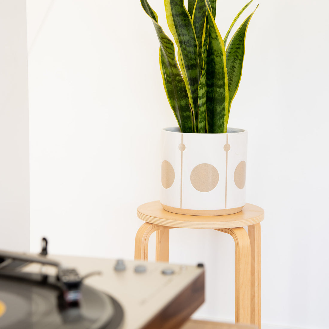 Isabel Cylinder Pot 215mm