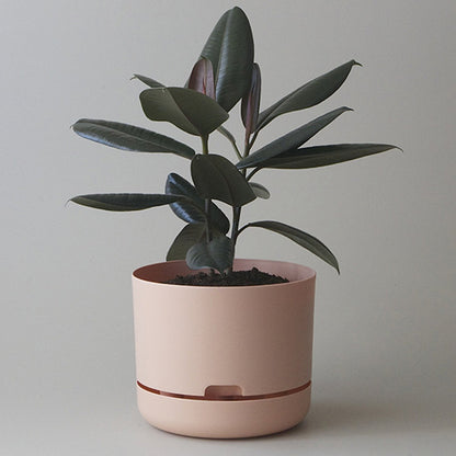 Self Watering Plant Pot 300mm Pale Apricot