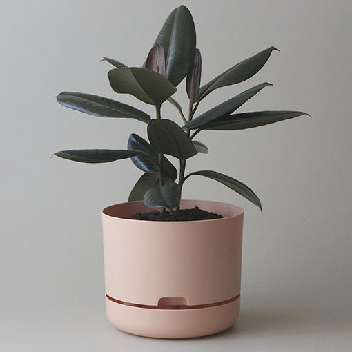 Self Watering Plant Pot 215mm Pale Apricot