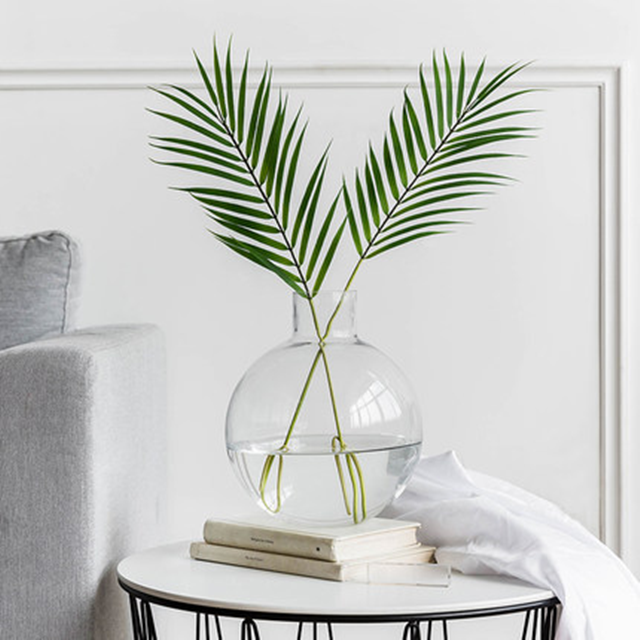 Clear Glass Vase - Hydroponic Jars