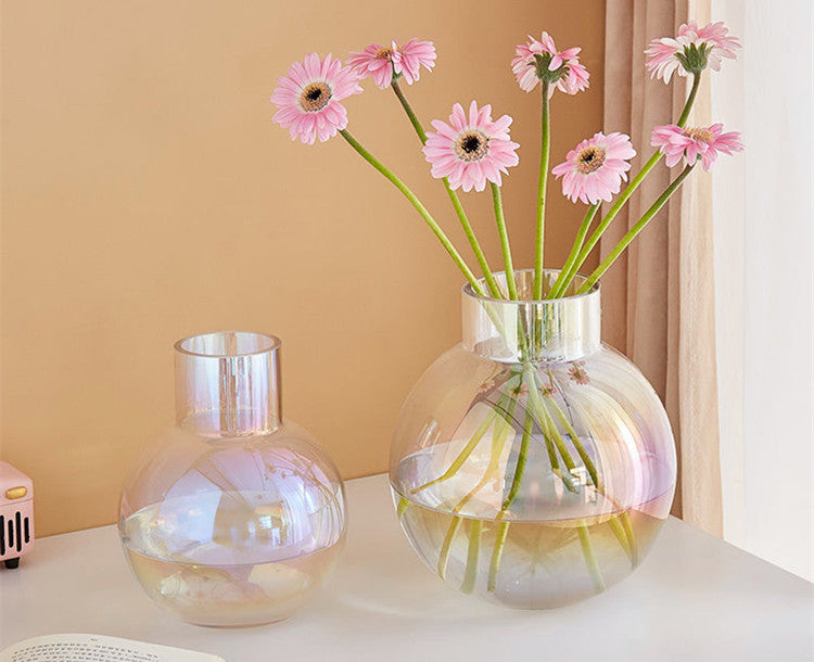 Rainbow Glass Vase - Hydroponic Jars