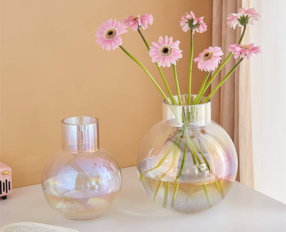 Rainbow Glass Vase - Hydroponic Jars