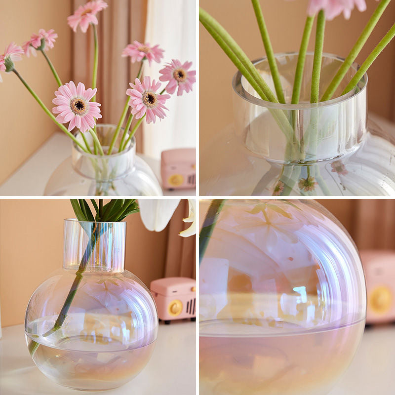 Rainbow Glass Vase - Hydroponic Jars