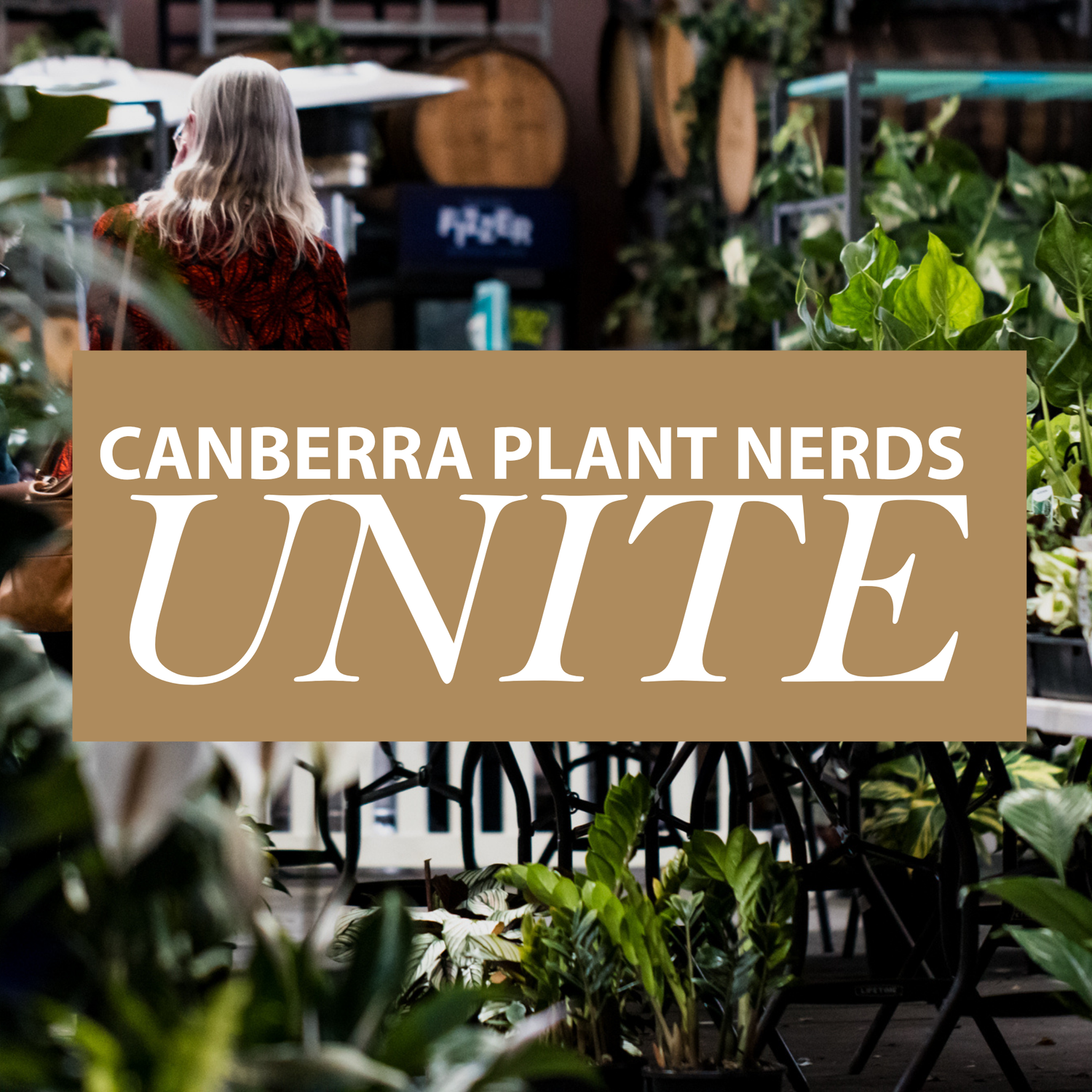 Canberra Massive Plant Sale - Sunday