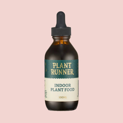 Indoor plant food