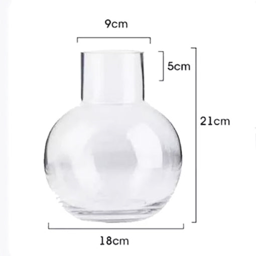 Clear Glass Vase - Hydroponic Jars