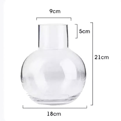 Clear Glass Vase - Hydroponic Jars