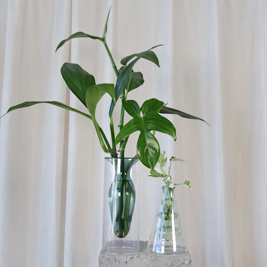 Coloured Vase Green - Float Jars