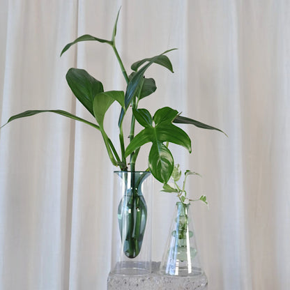 Coloured Vase Green - Float Jars