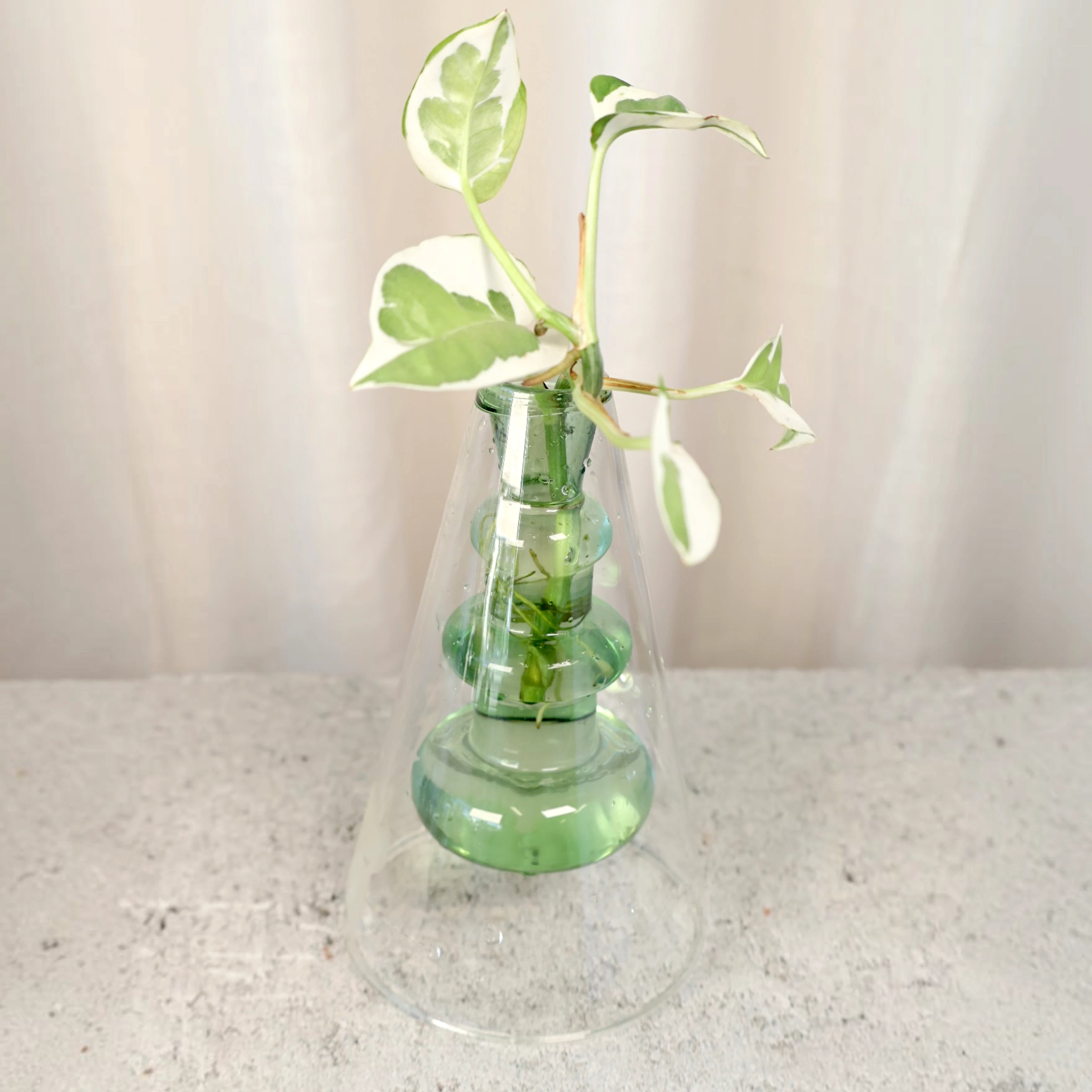 Coloured Vase Green - Float Jars