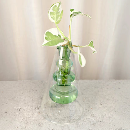 Coloured Vase Green - Float Jars
