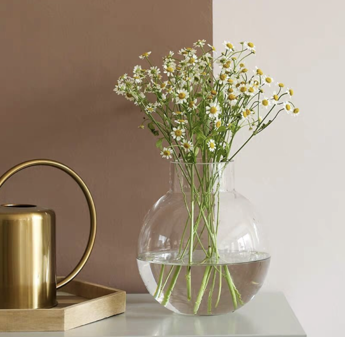 Clear Glass Vase - Hydroponic Jars