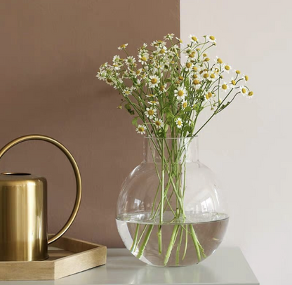 Clear Glass Vase - Hydroponic Jars