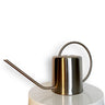 Watering Can 1.5 L Silver