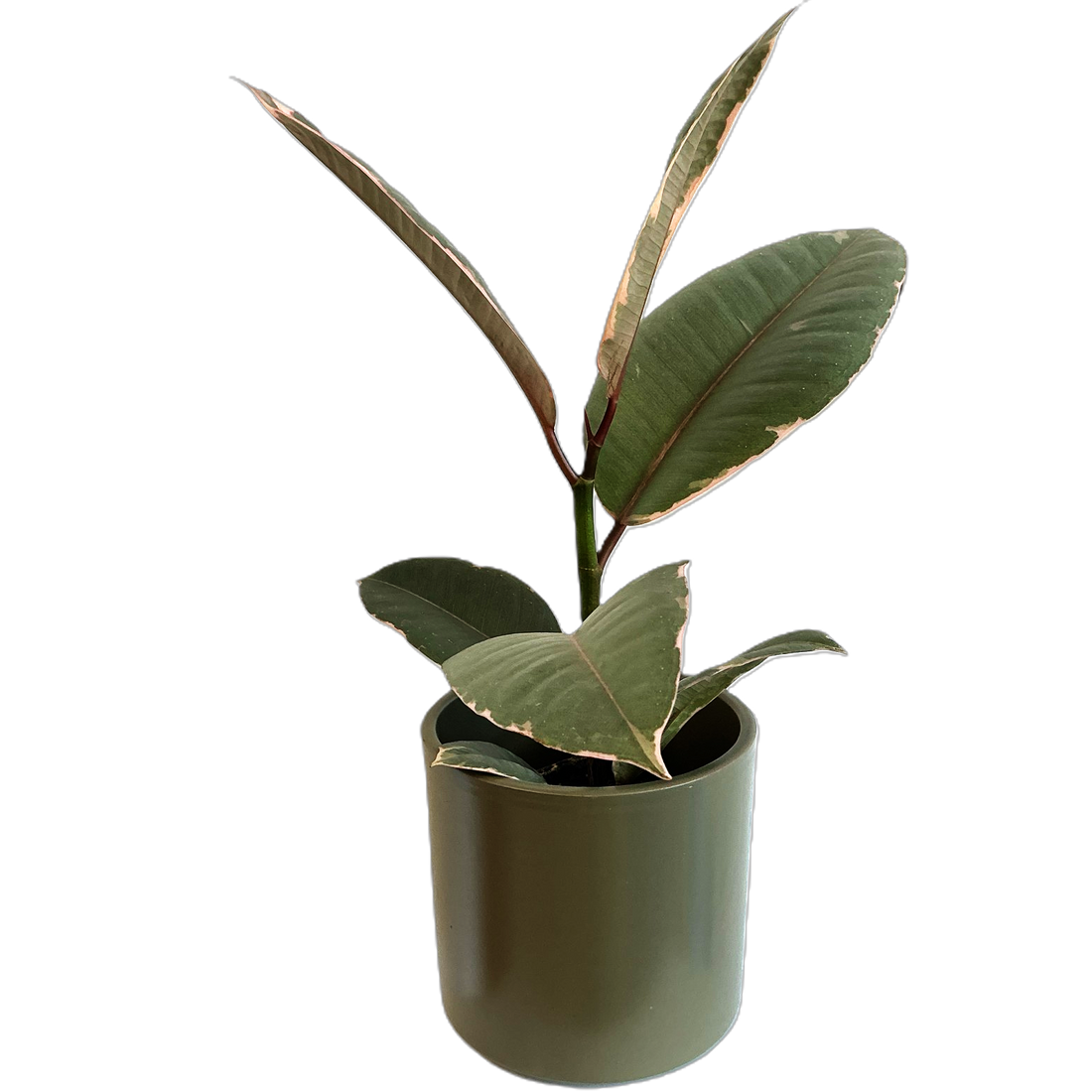 Khaki Cover Pot 90mm