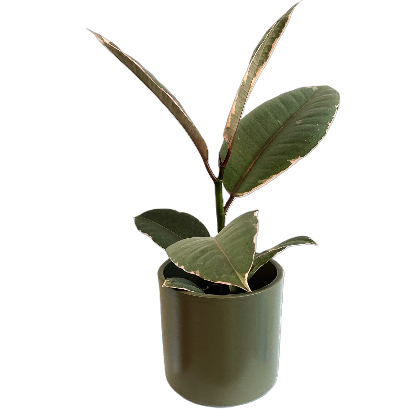 Khaki Cover Pot 90mm