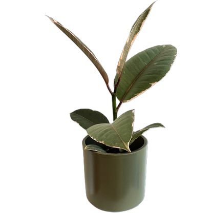 Khaki Cover Pot 90mm