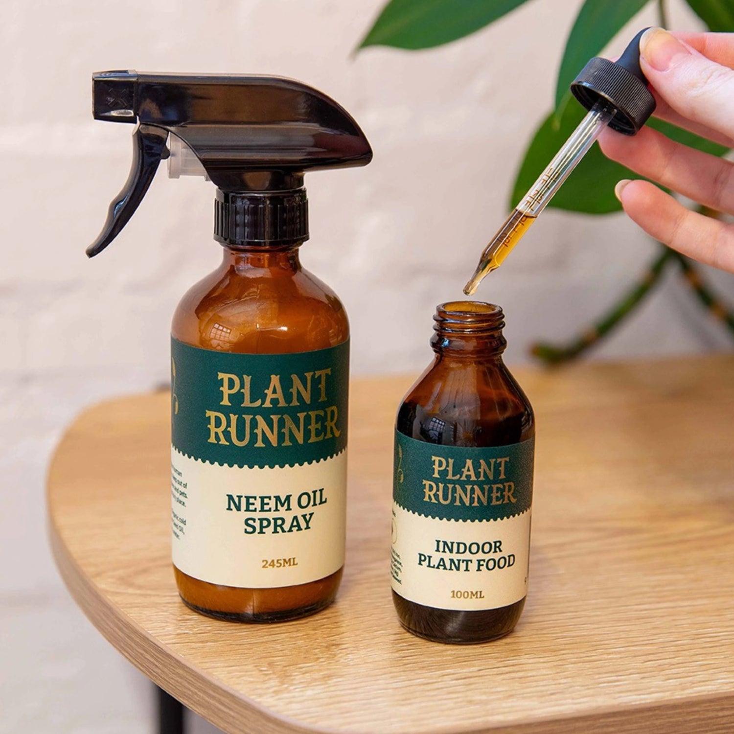 Indoor plant food