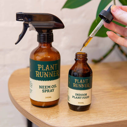 Indoor plant food
