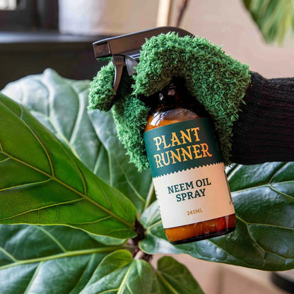 Neem Oil Leaf Shine 245mL