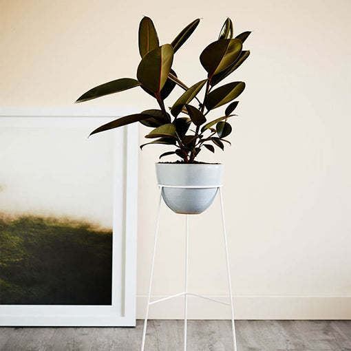 Metal Display Plant Stand – White