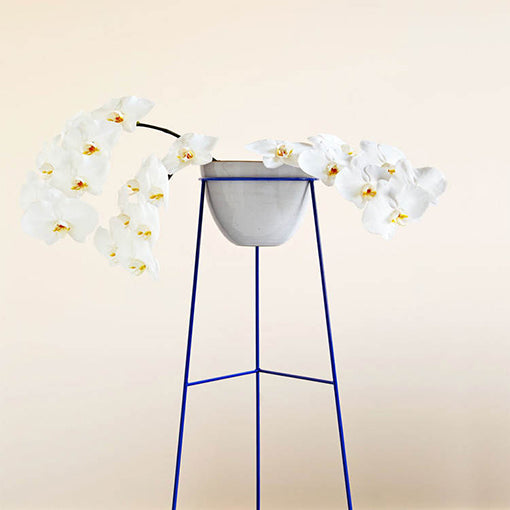 Metal Display Plant Stand – Blue