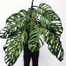 Monstera Esqueleto 120mm
