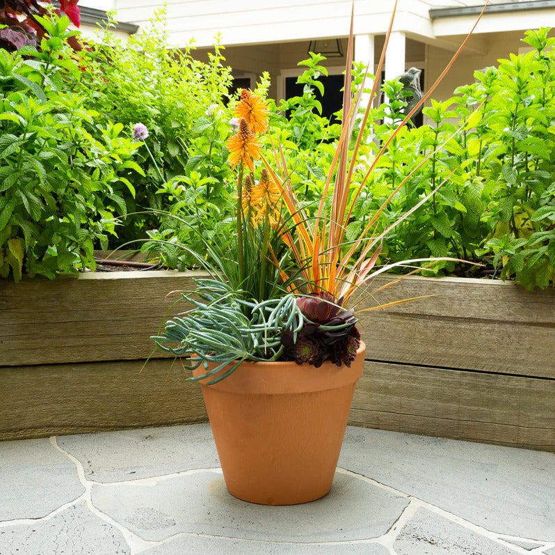Terracotta Garden Pot - Classic 330mm