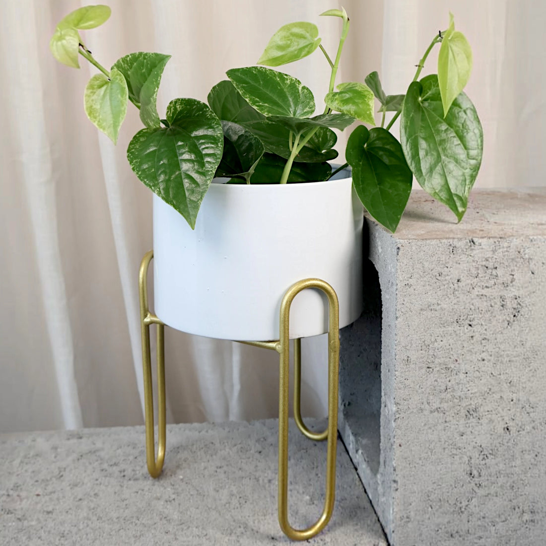Nordic Elegance - Plant Stand - White Small 150mm