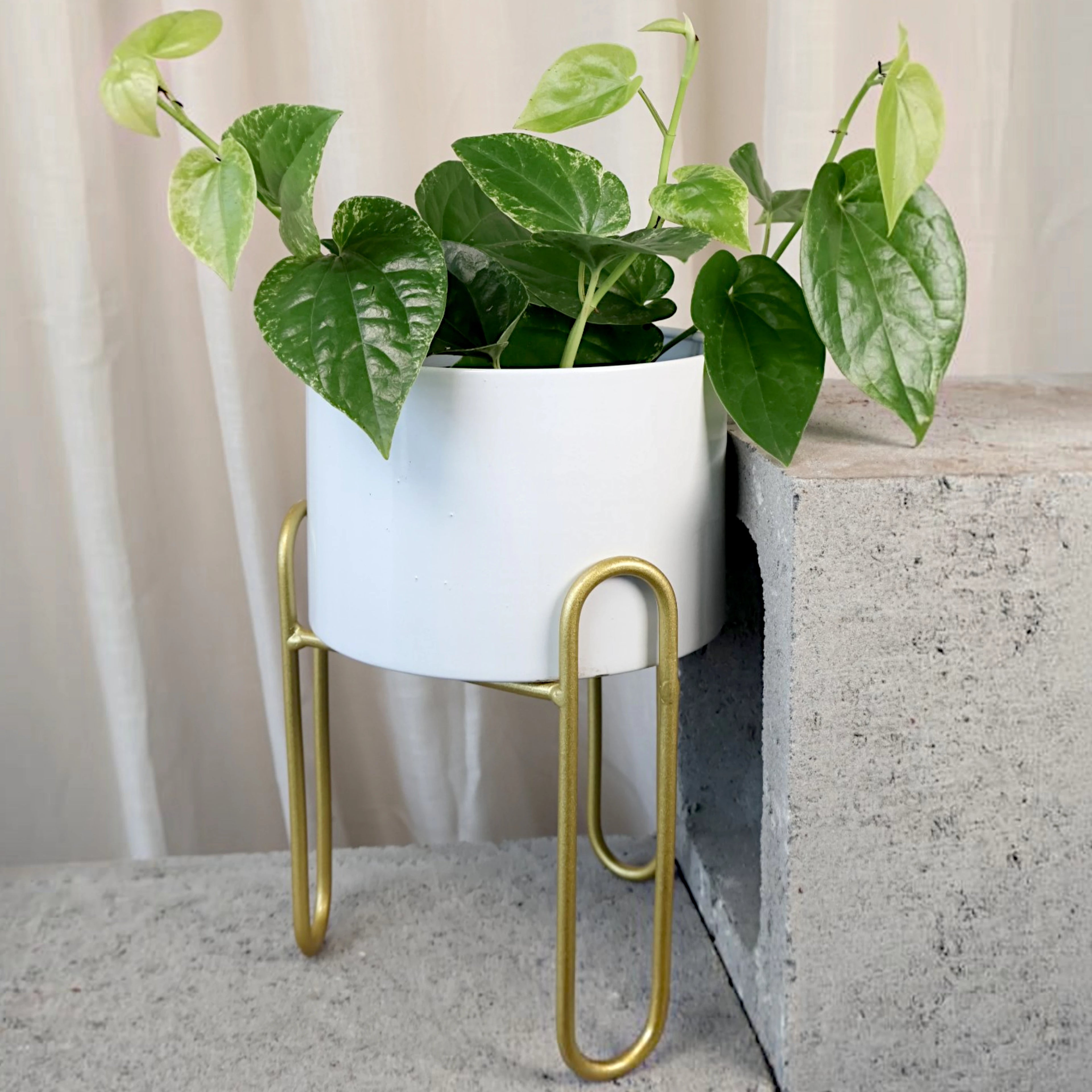 Nordic Elegance - Plant Stand - White Small 150mm