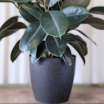 San Remo Terazzo Black pot 33cm