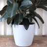San Remo Terazzo White pot 33cm