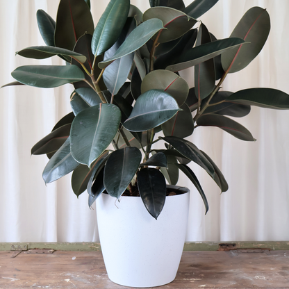 San Remo Terazzo White Pot 28Cm