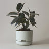Self-watering Plant Pot 170mm Fog