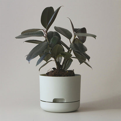 Self Watering Plant Pot 215mm Fog