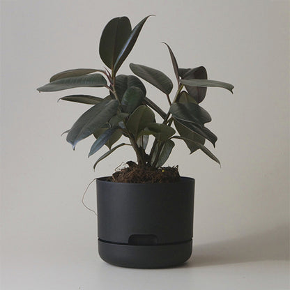 Self Watering Plant Pot 215mm Black