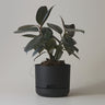 Self-watering Plant Pot 170mm Black