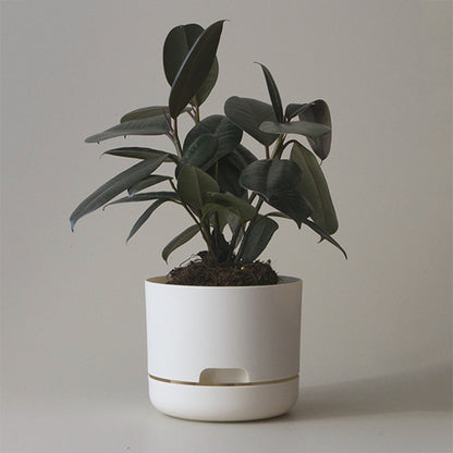 Self Watering Plant Pot 170mm White Linen