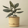 Self-watering Plant Pot 170mm Buff Yellow
