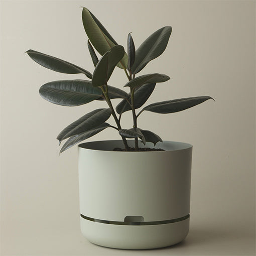 Self Watering Plant Pot 300mm Fog