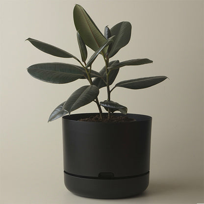 Self Watering Plant Pot 250mm Black
