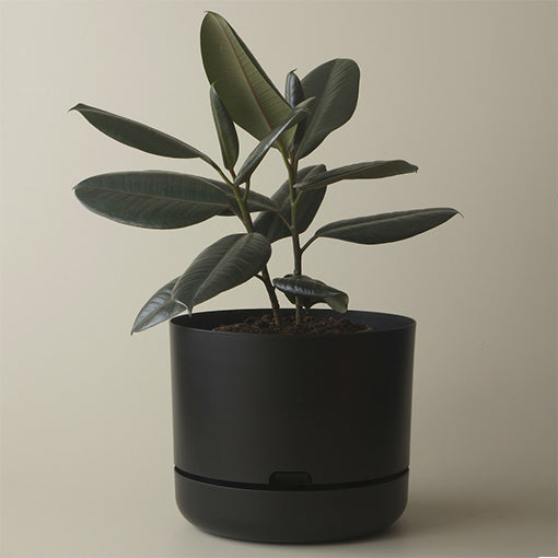 Self Watering Plant Pot 300mm Black